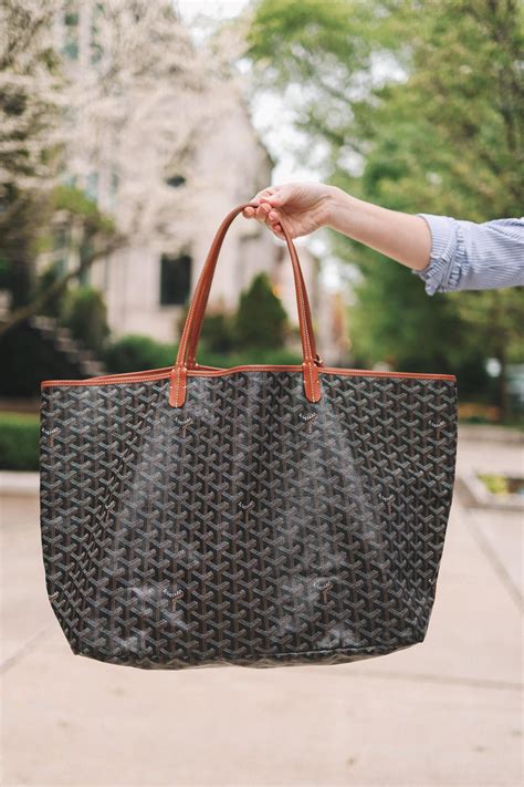 Amazon.com: Goyard Bags.